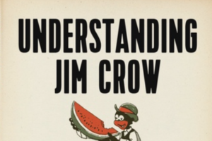 colorlines-screenshot-of-understanding-jim-crow-cover-for-now-101615